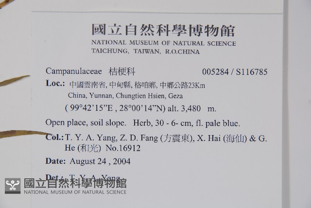 登錄號:S116785藏品圖，第2張