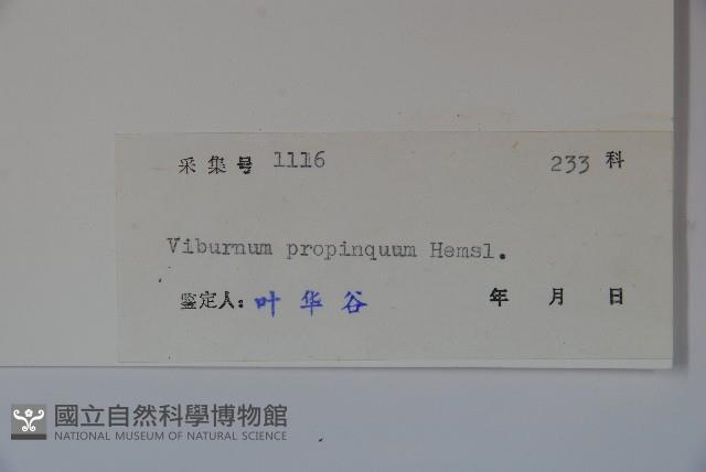 高山莢迷藏品圖，第2張