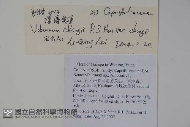 漾濞莢迷藏品圖，第2張