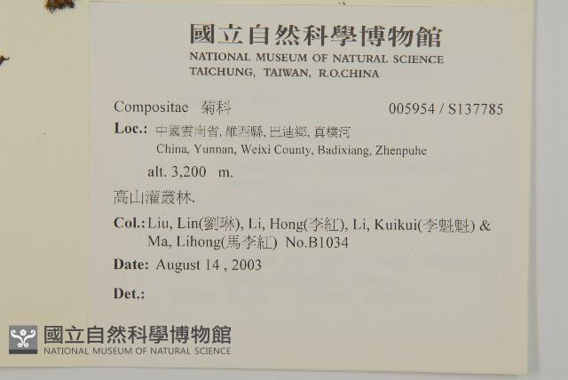 Accession Number:S137785 Collection Image, Figure 2, Total 2 Figures