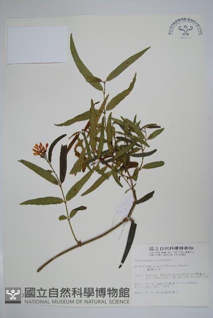 山橙藏品圖，第1張