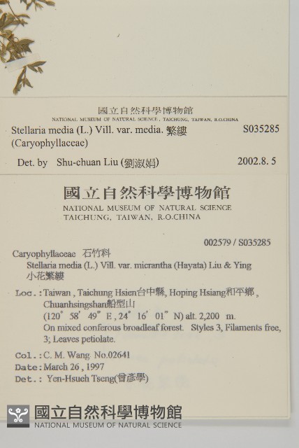 繁縷藏品圖，第2張