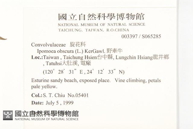 野牽牛藏品圖，第2張