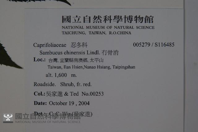 冇骨消藏品圖，第2張