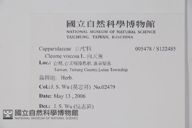 向天黃藏品圖，第2張