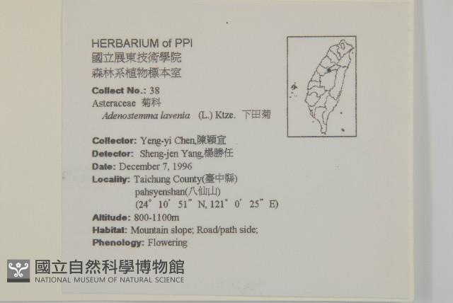 下田菊藏品圖，第2張