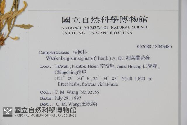 Gentian rockbell Collection Image, Figure 2, Total 2 Figures