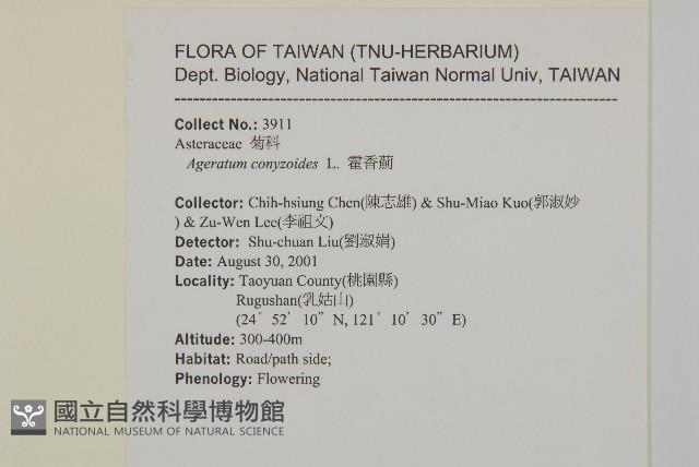 霍香薊藏品圖，第2張