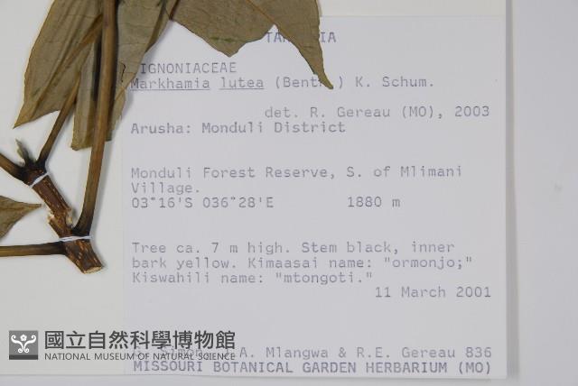 登錄號:S096185藏品圖，第2張