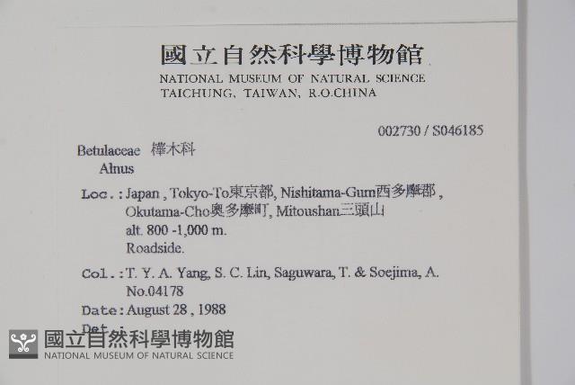 登錄號:S046185藏品圖，第2張