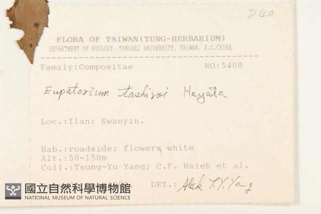 田代氏澤蘭藏品圖，第2張