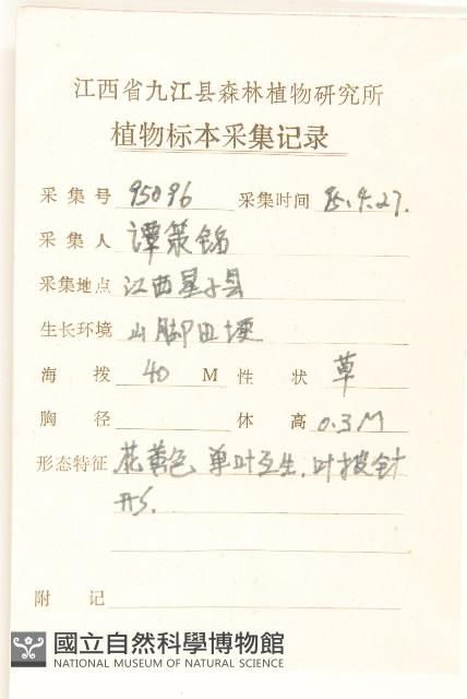 細葉苦實藏品圖，第2張