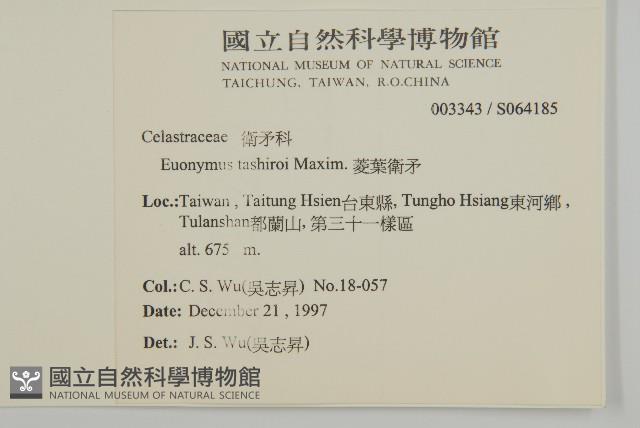 菱葉衛矛藏品圖，第2張