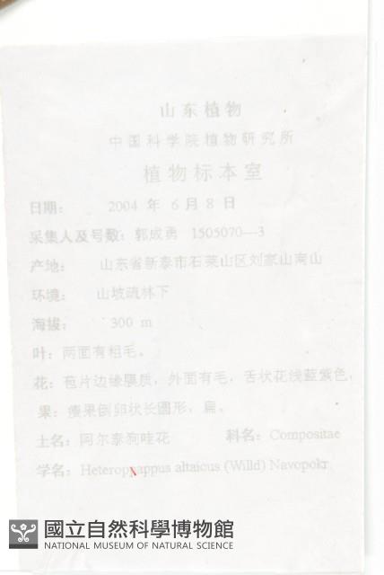 阿爾泰狗哇花藏品圖，第2張