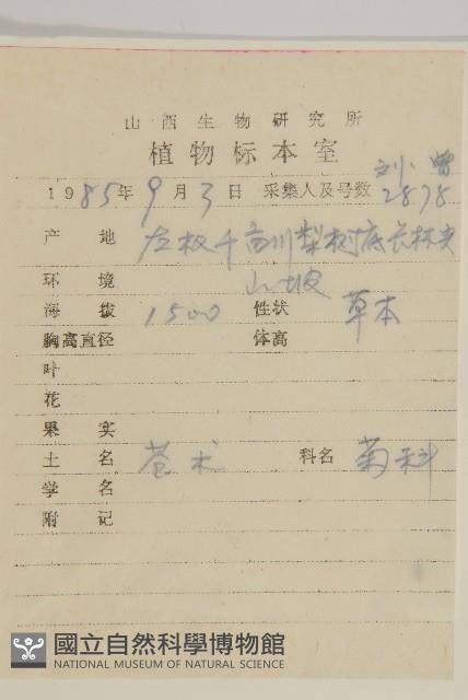 蒼朮、茅朮藏品圖，第2張