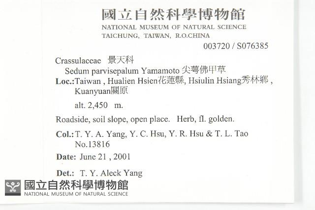 Accession Number:S076385 Collection Image, Figure 2, Total 2 Figures