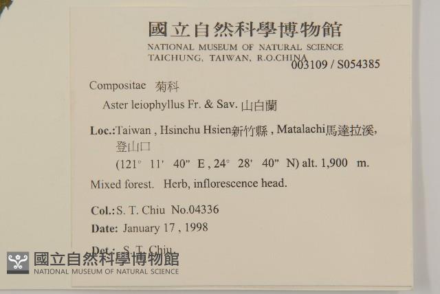 山白蘭藏品圖，第2張