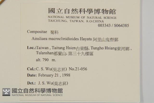 阿里山鬼督郵藏品圖，第2張