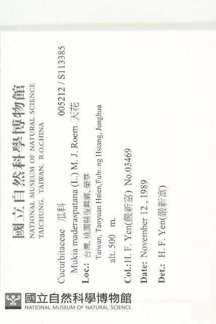 天花藏品圖，第2張