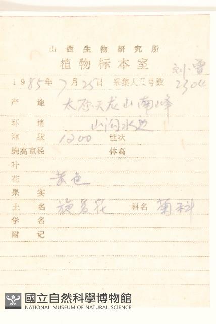 Accession Number:S035985 Collection Image, Figure 2, Total 3 Figures