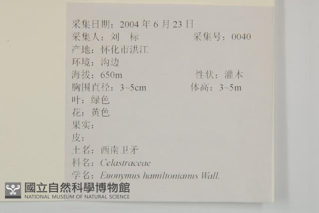 西南衛矛藏品圖，第2張