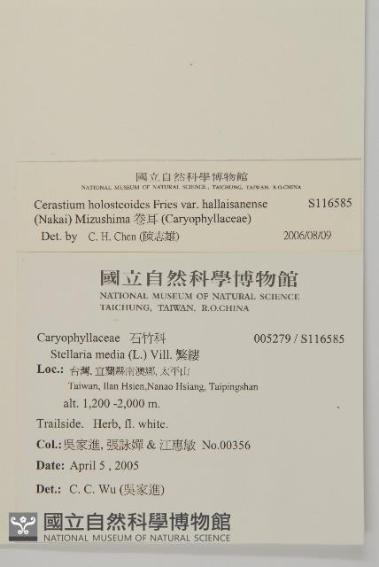 卷耳藏品圖，第2張