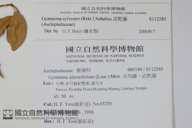 武靴藤藏品圖，第2張