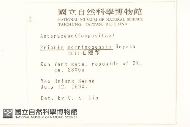 玉山毛蓮菜藏品圖，第2張