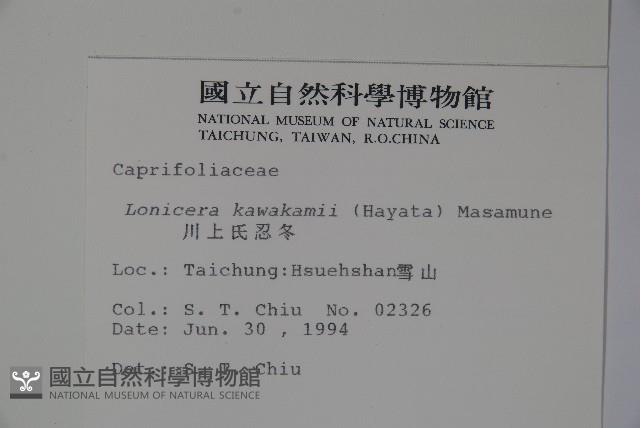 川上氏忍冬藏品圖，第2張