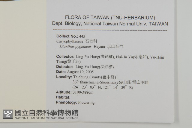 玉山抱莖籟簫藏品圖，第2張