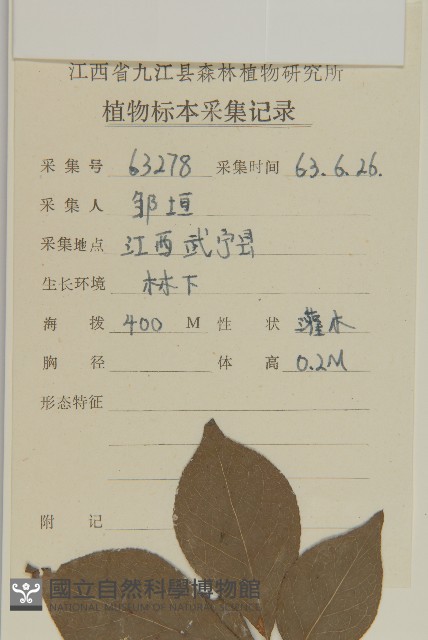 衛矛藏品圖，第2張