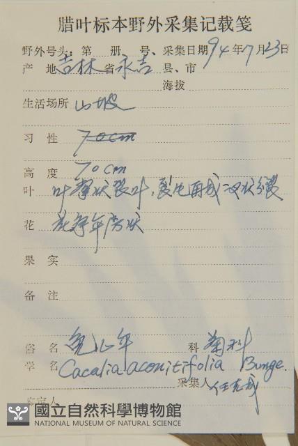 免兒傘藏品圖，第2張