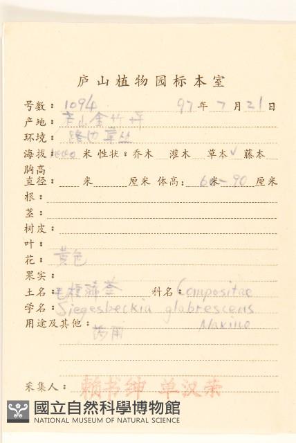 毛梗豨薟藏品圖，第2張