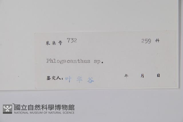 登錄號:S045624藏品圖，第2張