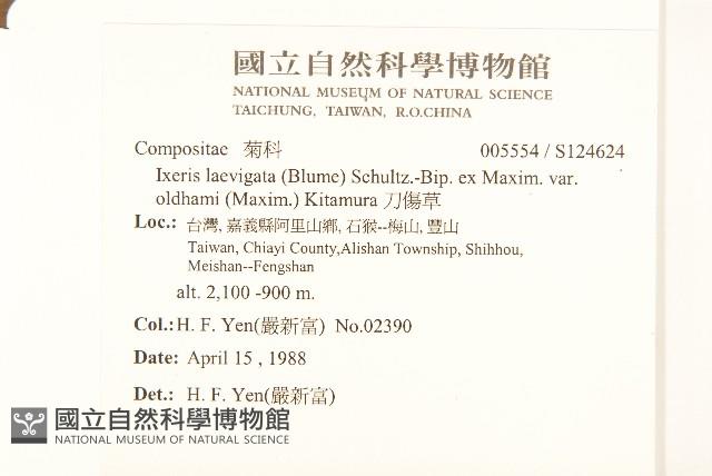 刀傷草藏品圖，第2張