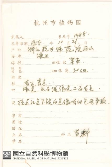 一枝香藏品圖，第2張