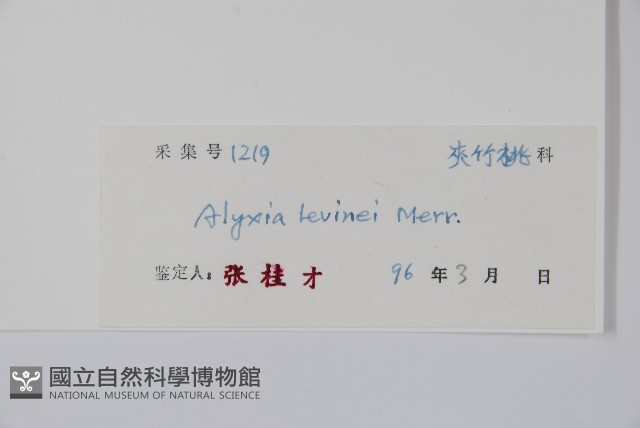筋藤藏品圖，第2張