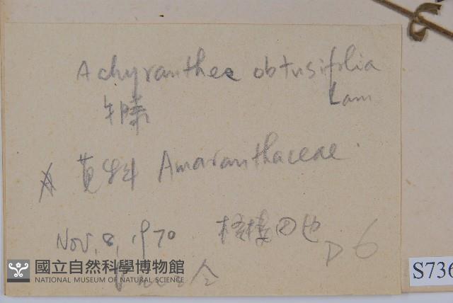 登錄號:S073624藏品圖，第2張