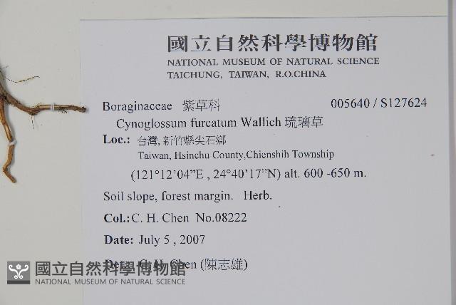 Accession Number:S127624 Collection Image, Figure 2, Total 2 Figures