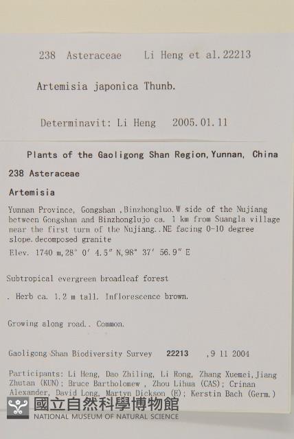 牡蒿藏品圖，第2張