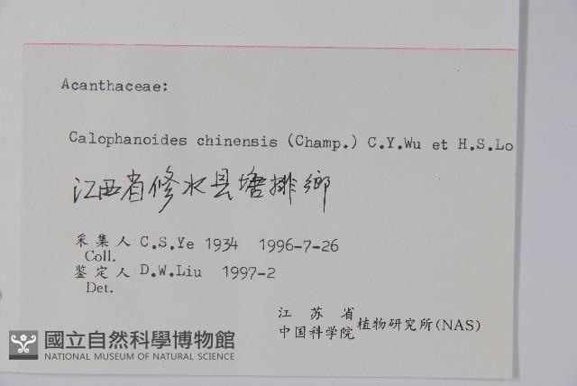 杜根藤藏品圖，第2張