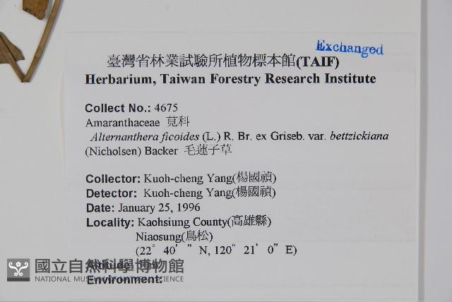 錦繡莧藏品圖，第2張