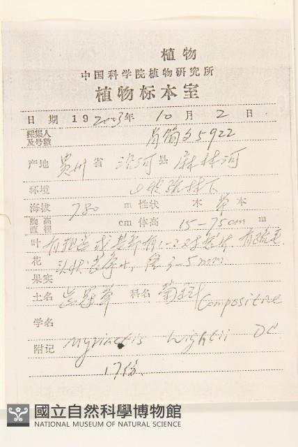 齒冠草藏品圖，第2張