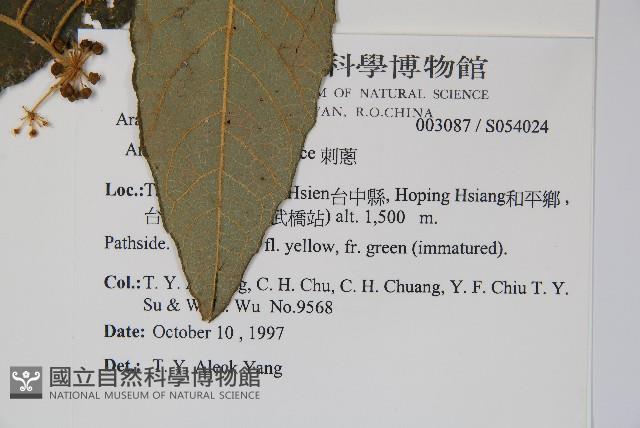 鵲不踏藏品圖，第2張