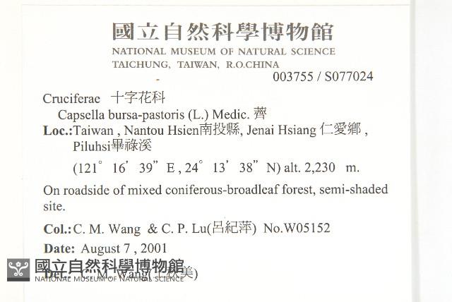 薺藏品圖，第2張