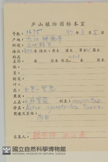 山白蘭藏品圖，第2張