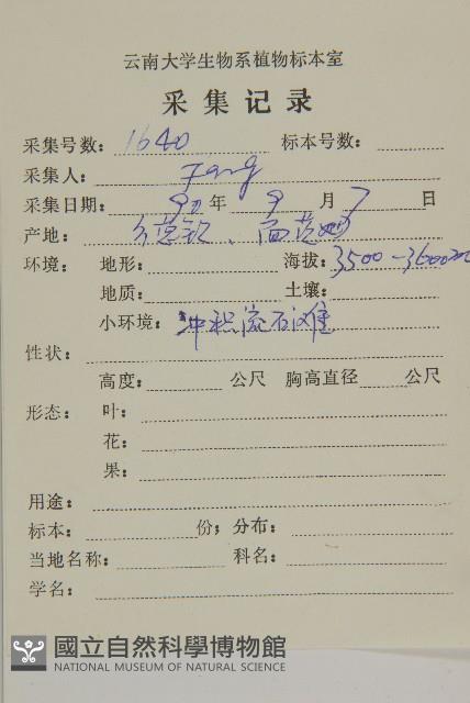 香青藏品圖，第2張