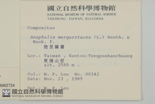 玉山抱莖籟簫藏品圖，第2張