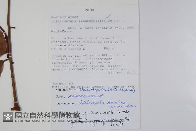 登錄號:S100724藏品圖，第2張