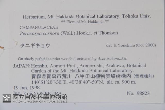 山桔梗藏品圖，第2張